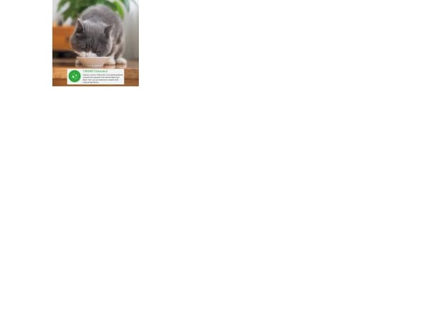 Inaba Foods Inaba DASHI komplementær kattemat - buljong med kylling og kamskjellsmak 70 g