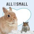 Miniatyrbild 6 av 9: Rent och mysigt superabsorberande papperssängkläder för burar, hamster, gerbil, möss, kanin, marsvin, 85 liter, vit