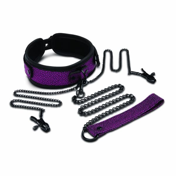 Lustask Large Pleasure Kit Whipsmart