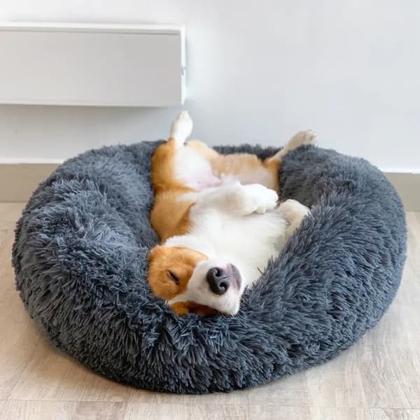 BLØD HUNDE/KATTESENGE 50CM