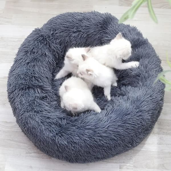 BLØD HUNDE/KATTESENGE 50CM