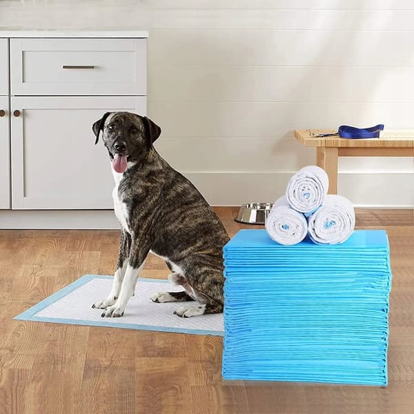 HYGIENSKYDD PEET MATS UNDERVISNING FÖR HUND DJUR 90x60 20 STK