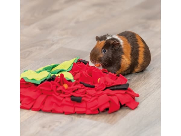 Trixie Strawberry sniffing carpet, 33 × 40 cm, red