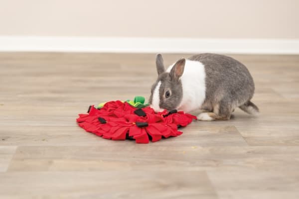 Trixie Strawberry sniffing carpet, 33 × 40 cm, red