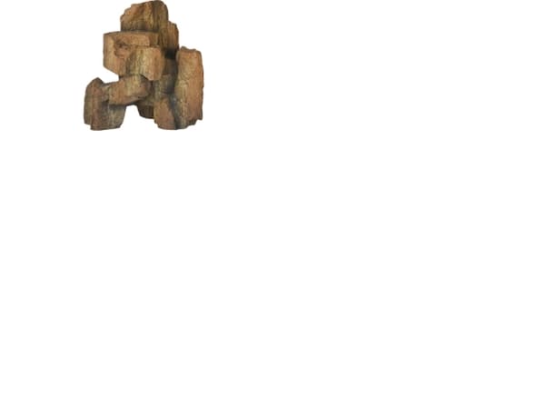 Dohse Fossil Rock 1, 14x8x15 cm