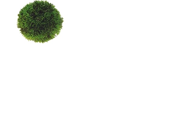 Dohse Plant Ball, 13 cm