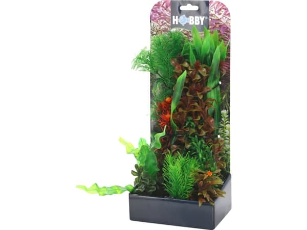 Dohse Plantasy set 6