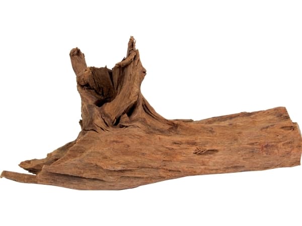 Aquarium Systems Mangrovepuun juuret L - 35-45 cm, 12 kpl.