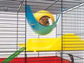 Miniatyrbild 3 av 5: Savic Sputnik - standard colours 21,5x21,5x12,5 cm