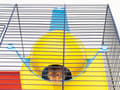 Miniatyrbild 4 av 5: Savic Sputnik - standard colours 21,5x21,5x12,5 cm