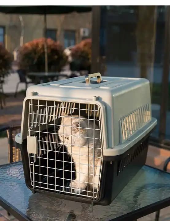 STOR BÄRA FÖR KATT HUND KANIN DJUR PLASTBUR PENNLÅDA