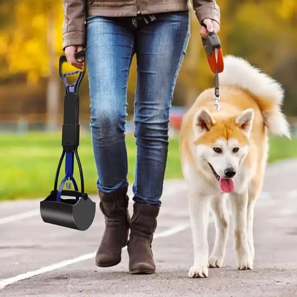 HUNDE AFSKYLDNING AFSAMTNING AFSKYLDNING AF SKOV TIL INDSAMLNING HUNDE SKADE STOR 60CM