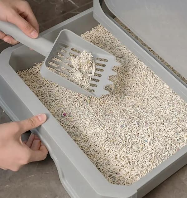 KATTSTRÅL LÅDA STOR SOLID HÅLLBAR STÄNGD FÖR STRÖR FILTERSPADE
