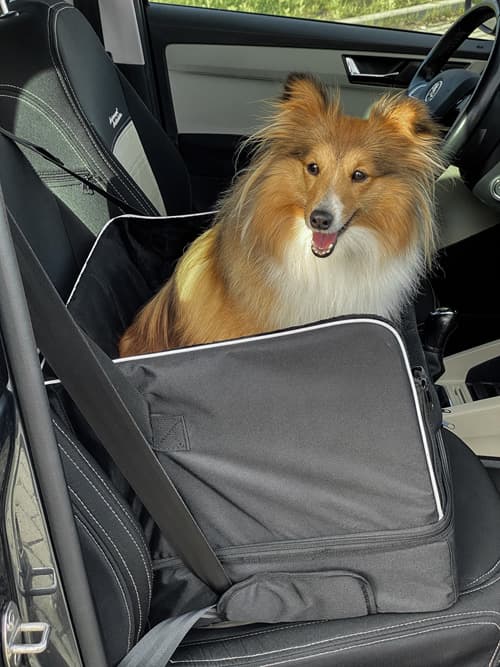 3-i-1 bilsæde til hund