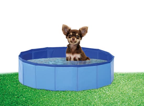 Hundepool