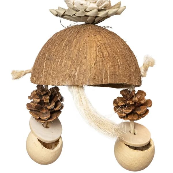Coconut Confusion - et legetøj til alle papegøjer