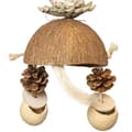 Miniatyrbillede 3 af 5: Coconut Confusion - et legetøj til alle papegøjer
