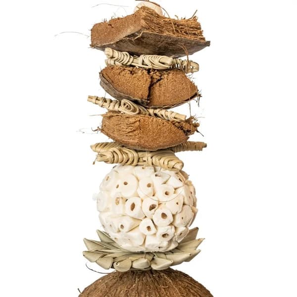 Coconut Confusion - et legetøj til alle papegøjer