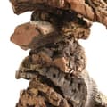 Miniatyrbild 5 av 9: Naturlig korkbarkleksak för stora och medelstora papegojor