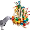 Miniatyrbild 2 av 4: Spiddy Max XXL - Leksak för stora Papugs XXL
