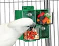 Miniatyrbillede 6 af 8: Interaktiv tallerken - legetøj og foderautomat i ét til store og mellemstore papegøjer