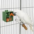 Miniatyrbillede 1 af 8: Interaktiv tallerken - legetøj og foderautomat i ét til store og mellemstore papegøjer