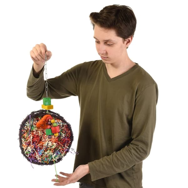 Joy Disc | Fletlegetøj til mellemstore og store papegøjer