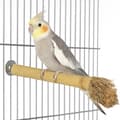 Pikkukuva 1 / 6: Bambuinen orsi "S" - lelu pienille papukaijoille