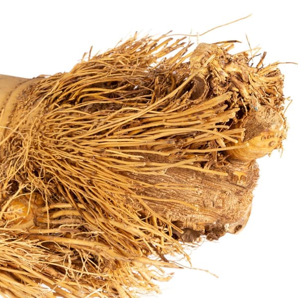 Bambu-orsi "S" - Luonnonmukainen bambu-orsi pienille ja keskikokoisille papukaijoille
