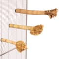 Pikkukuva 5 / 7: Bambu-orsi "S" - Luonnonmukainen bambu-orsi pienille ja keskikokoisille papukaijoille