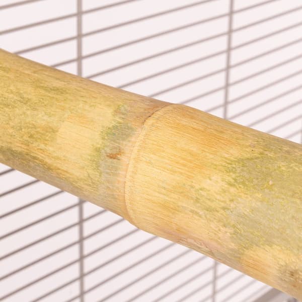 Bambu-orsi "S" - Luonnonmukainen bambu-orsi pienille ja keskikokoisille papukaijoille