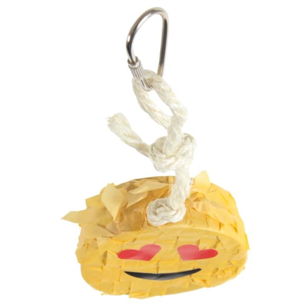 Dr. Smile! | Underbart glad leksak | Emoticon Piñata | för alla papegojor