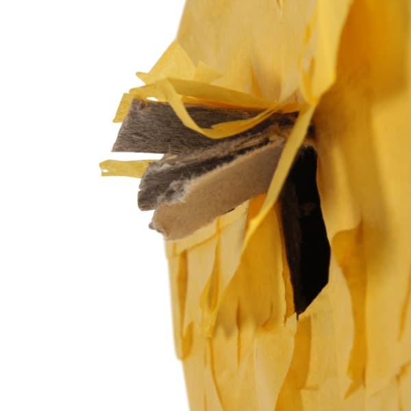 Dr. Smile! | Underbart glad leksak | Emoticon Piñata | för alla papegojor