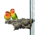 Pikkukuva 6 / 7: Luonnonvärinen orsi, valmistettu korkkitammen kuoresta, koko S - pienille papukaijoille