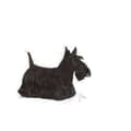 Miniatyrbild 2 av 2: Fodder Royal Canin Mini Dermacomfort Adult Chicken Veal Vegetable 3 Kg
