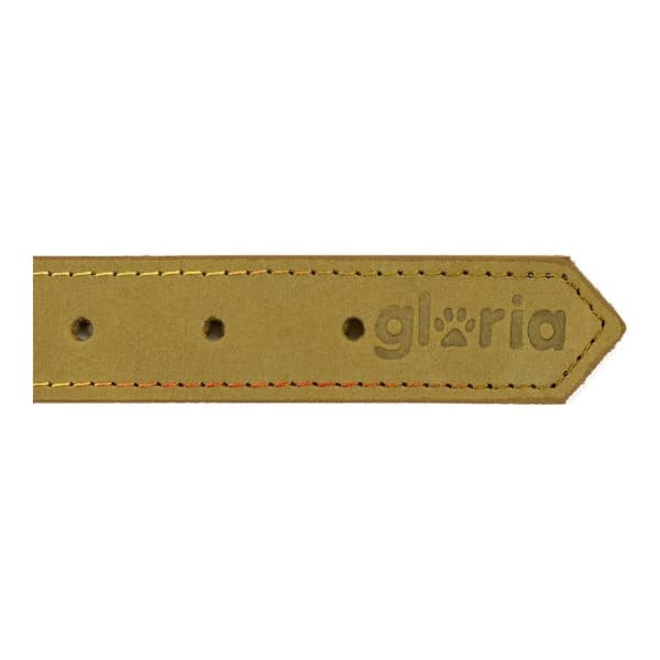 Dog collar Gloria Oasis Green (40 x 1,5 cm)