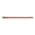 Miniatyrbild 2 av 6: Dog collar Gloria Oasis Red (60 x 3 cm)