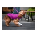 Miniatyrbillede 5 af 6: Dog Coat Red Dingo Puffer Pink/Purple 40 cm