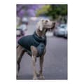 Miniatyrbild 3 av 4: Dog Coat Red Dingo Puffer Black/Grey 60 cm