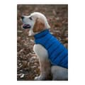 Miniatyrbild 4 av 5: Dog Coat Red Dingo Puffer Turquoise 25 cm