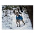 Miniatyrbild 5 av 5: Dog Coat Red Dingo Puffer Turquoise 25 cm
