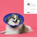 Miniatyrbild 2 av 2: Elizabethan Dog Collar KVP EZ Soft Blue (9-25 cm)