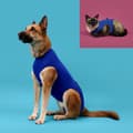 Miniatyrbillede 2 af 2: Recovery Vest for Pets KVP 53-61 cm Blue