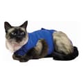 Miniatyrbillede 1 af 2: Recovery Vest for Pets KVP 53-61 cm Blue