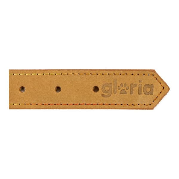 Dog collar Gloria Oasis Yellow (1,5 x 40 cm)
