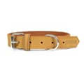 Miniatyrbild 1 av 6: Dog collar Gloria Oasis Yellow (1,5 x 40 cm)