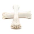 Miniatyrbild 3 av 5: Dog Snack Gloria Bone Calcium 20 Units