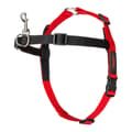 Miniatyrbild 1 av 10: Dog Harness Company of Animals Halti Black/Red Size S (36-64 cm)