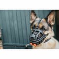 Miniatyrbild 10 av 10: Muzzle Hunter Albury Black 2