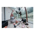 Miniatyrbild 3 av 3: Dog toy Hunter Seagull White